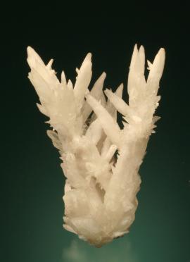 Calcite, El Potosi Mine, Chihuahua, Mexico. An unusual group of spiky calcite crystals. Donor: J. Hatch. Specimen 7.5 cm tall. Photo by G. Robinson. (DM 24868)