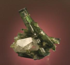Elbaite, attributed to the Cruzeiro Mine, Minas Gerais, Brazil. Elbaite, attributed to the Cruzeiro Mine, Minas Gerais, Brazil. An attractive specimen of translucent green crystals on quartz. Donor: M. Zinn. Specimen 10 cm tall. Photo by G. Robinson. (DM 23551)