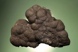 Arsenic, Quiruvilca, La Libertad, Peru, Arsenic, Quiruvilca, La Libertad, Peru. A recent acquisition of rare native arsenic. Specimen 19 cm wide. Photo by C. Stefano. (DM 31188)