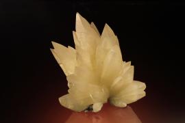 Calcite, Loc-Ketkipada, Bombay, India. Calcite, Loc-Ketkipada, Bombay, India. A fine and unusual calcite crystal group from India. Donor: P. and J. Clifford. Specimen 13 cm tall. Photo by M. Schorr. (PJC 9505)