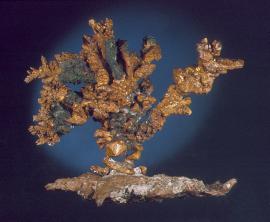 Copper, Central Mine, Keweenaw County, Michigan. Copper, Central Mine, Keweenaw County, Michigan. A perfect “bonsai tree” of copper crystals on a matrix of native copper. From the collection of J. T. Reeder. Specimen 11 cm wide. Photo by G. Robinson. (JTR 669)