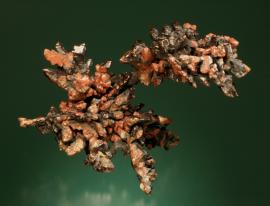 Copper, Keweenaw Peninsula, Michigan. Sharp crystal aggregates with black and red tenorite and cuprite coatings and an exceptionally high luster. Donor: L. L. Hubbard. Specimen 15 cm long. Photo by G. Robinson. (LLH 580)