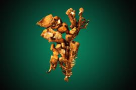 Copper, Calumet and Hecla Mine, Houghton County, Michigan Copper, Calumet and Hecla Mine, Houghton County, Michigan. A complex group of a variety of different crystal styles from the largest mine in the Keweenaw copper district. Specimen 8 cm tall. Photo by C. Stefano. (JTR 674)