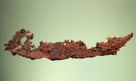 Copper, Milpillas Mine, Sonora, Mexico. Copper, Milpillas Mine, Sonora, Mexico. A large crystal group of native copper from a locality better known for its azurite specimens. Specimen 30 cm wide. Photo by C. Stefano. (DM 31189)