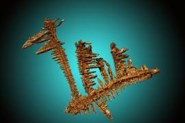 Copper, White Pine Mine, Ontonagon County, Michigan Copper, White Pine Mine, Ontonagon County, Michigan. An attractive “herringbone” style crystal group of copper. It was collected underground by miner Frank Pouttu. Specimen 9.5 cm wide. Photo by C. Stefano photo. (DM 31213)