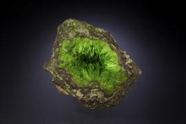 Cuprosklodowskite, Katanga, Democratic Republic of the Congo. Cuprosklodowskite, Musonoi Mine, Katanga, Democratic Republic of the Congo. Named for Marie Curie (her maiden name was Sklodowska), cuprosklodowskite is one of the most beautiful of uranium minerals. Donor: M. Origlieri. Specimen 10 cm across. Photo by M. Schorr. (DM 31246)