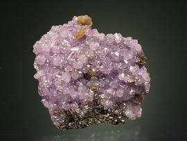 Fluorapatite, Rapid Creek, Yukon, Canada. Fluorapatite, Rapid Creek, Yukon, Canada. A fine crystal group of purple apatite from Rapid Creek. From the Patrick Collins collection, one of the most well-documented and comprehensive collection of minerals from Rapid Creek. Specimen 3.5 cm across. Photo by G. Robinson. (DM 27753)