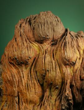 Hematite, Ishpeming, Marquette Co., Michigan.  Hematite, Ishpeming, Marquette Co., Michigan. So-called “tulip ore”. Formations of this type would have been common in the upper levels of the iron mines. Donor: L. L. Hubbard. Field of view 8 cm wide. Photo by G. Robinson. (LLH 802)