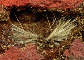 Millerite, Sterling Mine, Antwerp, New York. Millerite, Sterling Mine, Antwerp, New York. Rare millerite crystals from one of the world’s best localities for fine millerite specimens. Field of view is approximately 3 cm wide. Photo by G. Robinson. (DM 30065)