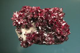Proustite, Dolores Mine, Chanarcillo, Chile. Miners called proustite and related minerals were called “ruby silver” by miners because of their intense color. Like many silver minerals, proustite is light sensitive and continued exposure to light will darken it to black, making this specimen next to impossible to exhibit. Specimen 10 cm wide. Photo by G. Robinson. (DM 23880) 