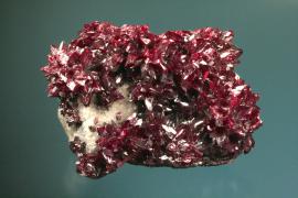 Proustite, Dolores Mine, Chanarcillo, Chile.  Proustite, Dolores Mine, Chanarcillo, Chile. Miners called proustite and related minerals were called “ruby silver” by miners because of their intense color. Like many silver minerals, proustite is light sensitive and continued exposure to light will darken it to black, making this specimen next to impossible to exhibit. Specimen 10 cm wide. Photo by G. Robinson. (DM 23880)