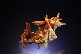 Quartz, Dalnegorsk, Primorskii Kray, Russia. Quartz, Dalnegorsk, Primorskii Kray, Russia. Rare, red quartz crystals from Dalnegorsk, Russia. Donor: P. and J. Clifford. Specimen 9.5 cm wide. Photo by C. Stefano photo. (PJC 06092)