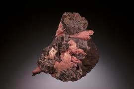 Rhodochrosite, Montreal Mine, Iron Co., Wisconsin.  Rhodochrosite, Montreal Mine, Iron Co., Wisconsin. Sheaves of rhodochrosite crystals on matrix. Montreal produced some of the finest rhodochrosite specimens from the Lake Superior district. Donor: E. Watson. Specimen 13 cm tall. Photo by C. Stefano. (DM 9)