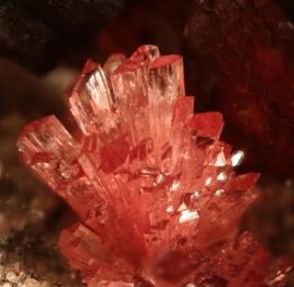 Seamanite, Bengal (Cannon) Mine, Iron County, Michigan. Red seamanite crystals. Seamanite is named for A. E. Seaman, founder of the A. E. Seaman Mineral Museum. It is exceedingly rare, with only three localities in Michigan and one additional in Australia. Field of view 3 mm wide. Photo by J. Jaszczak. (DM 27928)