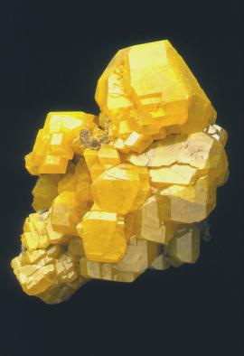 Sulfur, Cianciana, Sicily, Italy. Sulfur, Cianciana, Sicily, Italy. An outstanding large specimen of sulfur crystals from the world’s best locality for the species. Specimen 20 cm tall. Photo by J. Scovil. (DM 301)