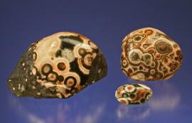 Thomsonite (cabochons), Lake Superior, Minnesota.  Thomsonite (cabochons), Lake Superior, Minnesota.  Thomsonite from Lake Superior is actually a mixture of minerals, thomsonite being one of the most prevalent. Largest cabochon 2 cm across. Photo by G. Robinson.