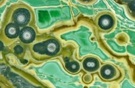 Variscite, crandallite, and wardite, Clay Canyon, Fairfield, Utah.  Variscite, crandallite, and wardite, Clay Canyon, Fairfield, Utah. Green variscite partially altered to yellowish crandallite and blueish wardite. A unique occurrence, the Clay Canyon variscite deposit has produced some wonderful specimens which must be cut and polished in order to be appreciated. Donor: G. B. Robbe. Field of view 4 cm wide. Photo by G. Robinson. (GBR 1497)