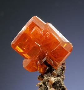 Wulfenite, Red Cloud Mine, La Paz Co., Arizona.  Wulfenite, Red Cloud Mine, La Paz Co., Arizona. A sharp, orange-red crystal of wulfenite from one of the premier localities for the species. Donor: D. C. Gabriel. Specimen 2 cm tall. Photo by G. Robinson. (DCG 8)