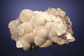 Xonotlite, N’Chwaning Mine, Kuruman, South Africa.  Xonotlite, N’Chwaning Mine, Kuruman, South Africa. Fibrous, radiating spheres of xonotlite from the species’ premier locality. Although relatively common, attractive xonotlite specimens are exceedingly rare.  Specimen 10 cm wide. Photo by G. Robinson. (DM 25902)