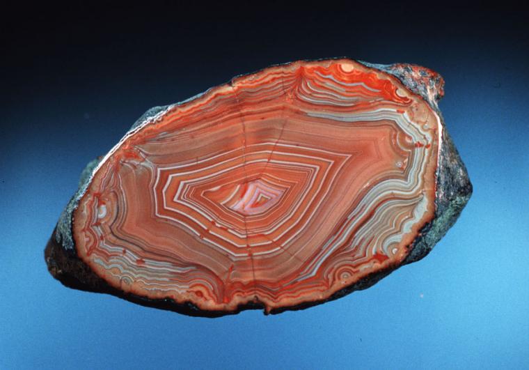 Lake Superior agate collected underwater by diver Bob Barron off Keweenaw Point, Michigan (DM25605). Specimen 6 cm across. Photo by J. Jaszczak. Donated by 